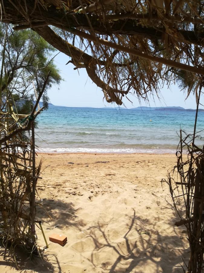 Lemon Tree Finikounta
