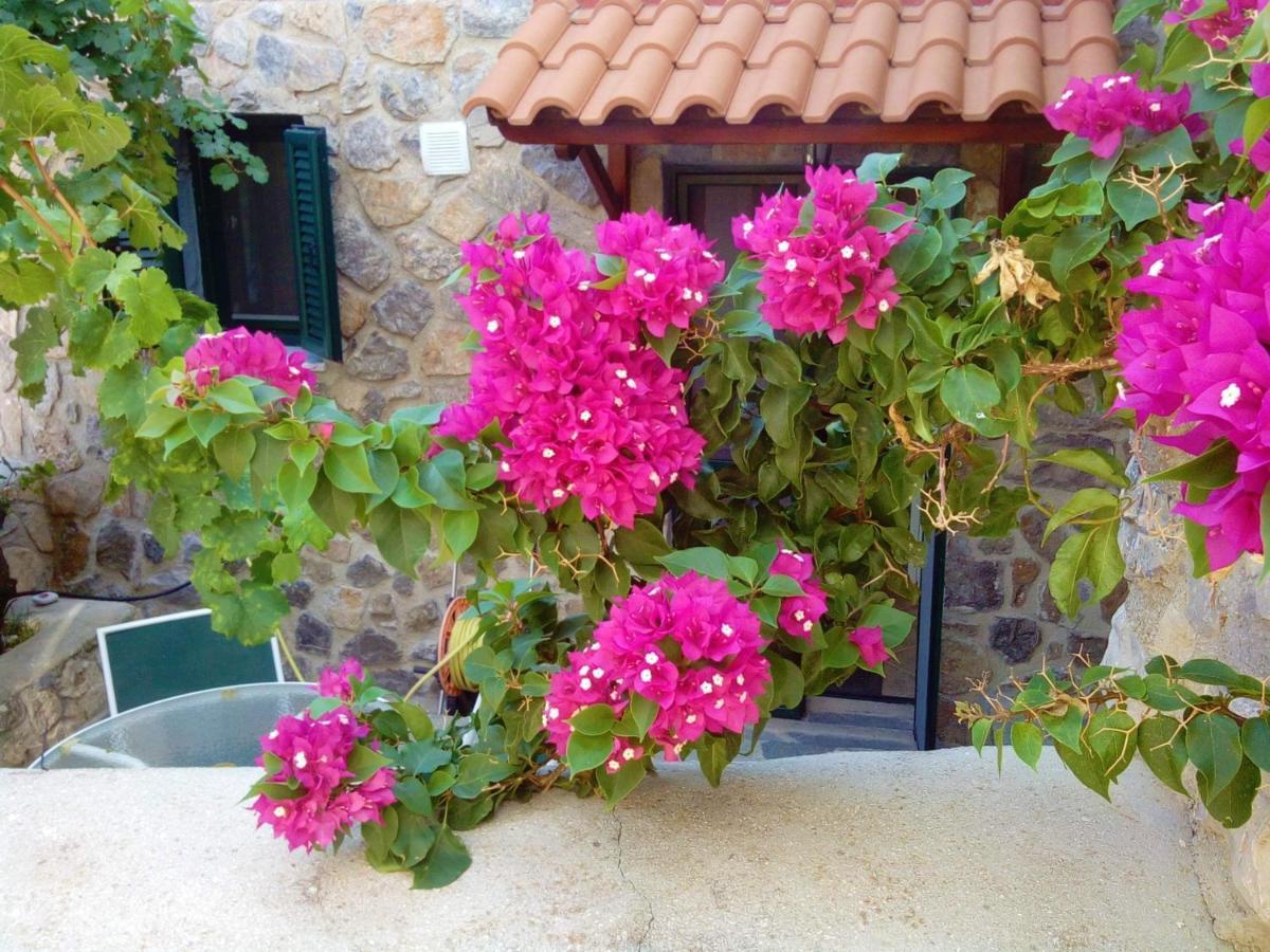 Holiday home Agistri Sophia's