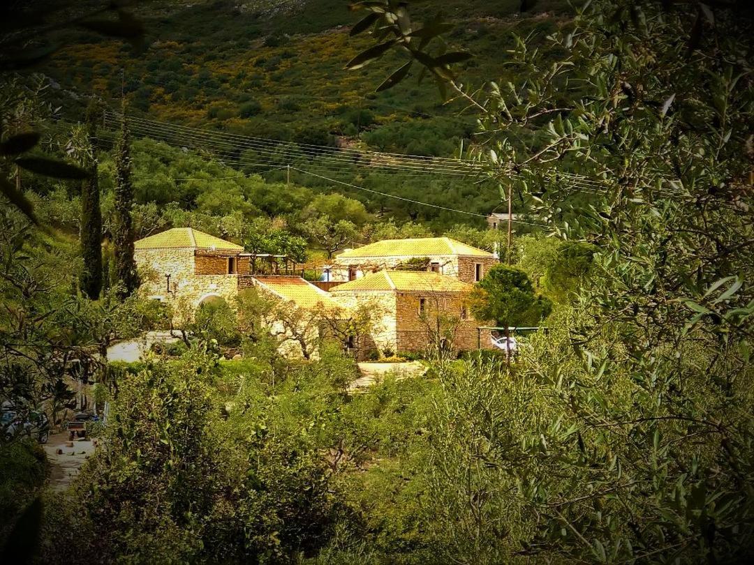 Tsivouli