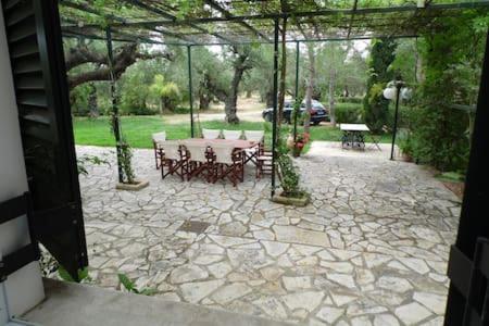 Villa Theni Olive Grove Kato Yerakarion
