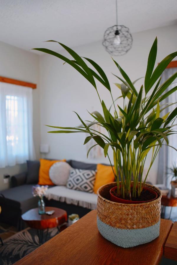 Elia's House Traditional & Cozy By 8essentially Holiday home Kalyves