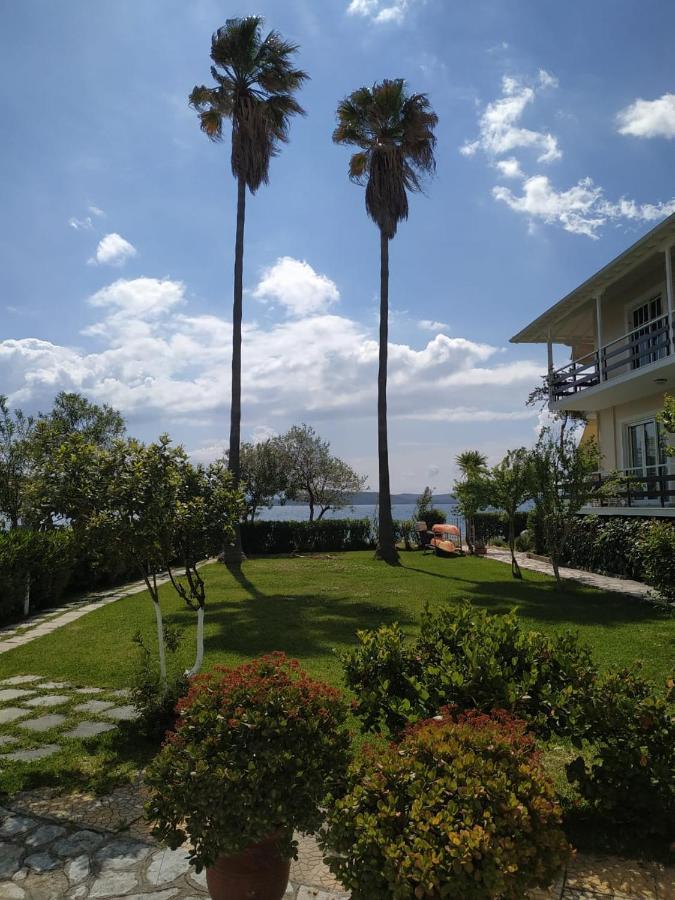 Two Palm Trees Apartment