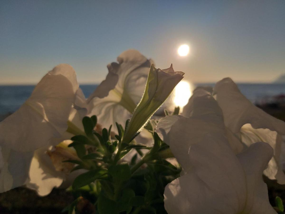 Nereides Aparthotel Agios Gordios (Corfu)