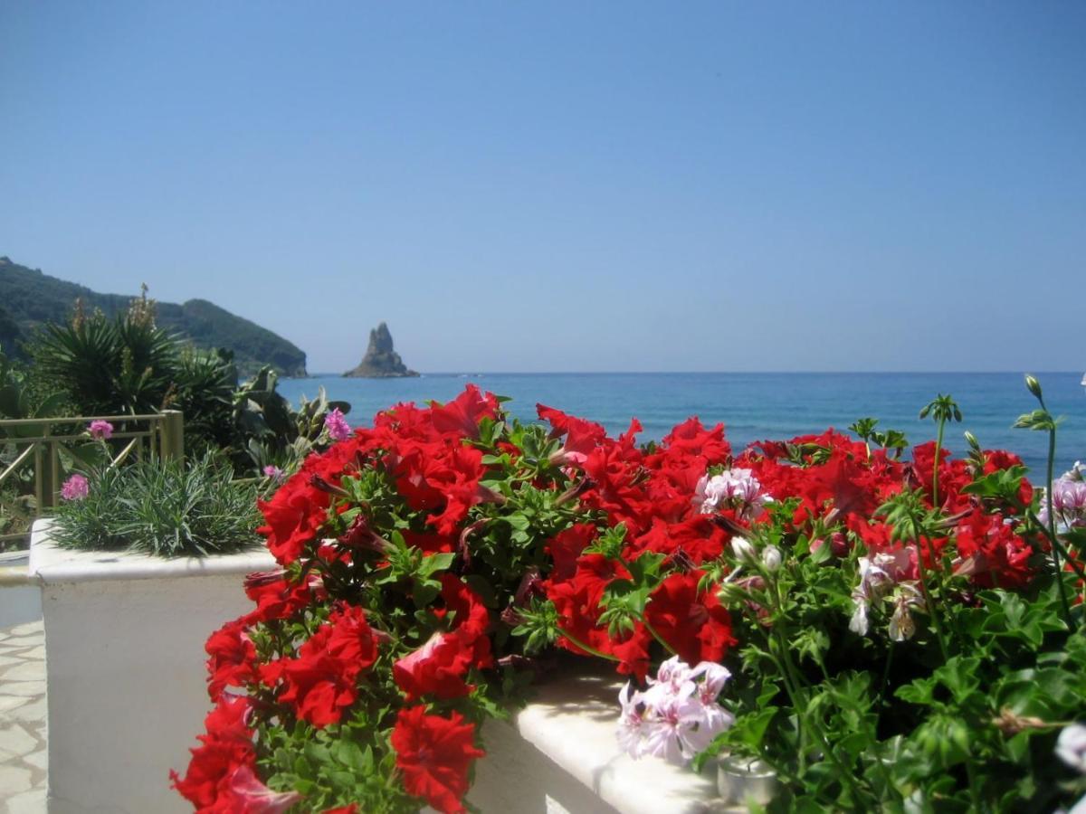 Nereides * Agios Gordios (Corfu)
