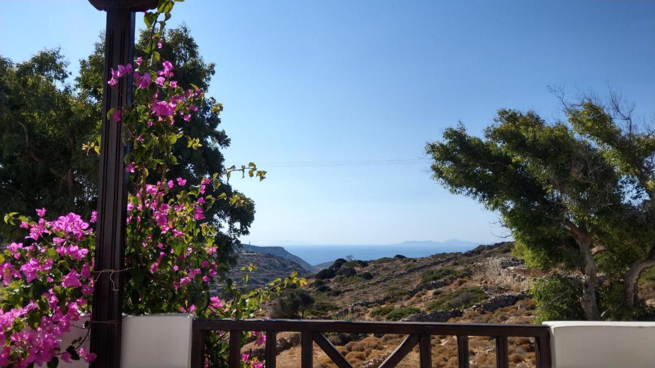 Apartment Chora Place *