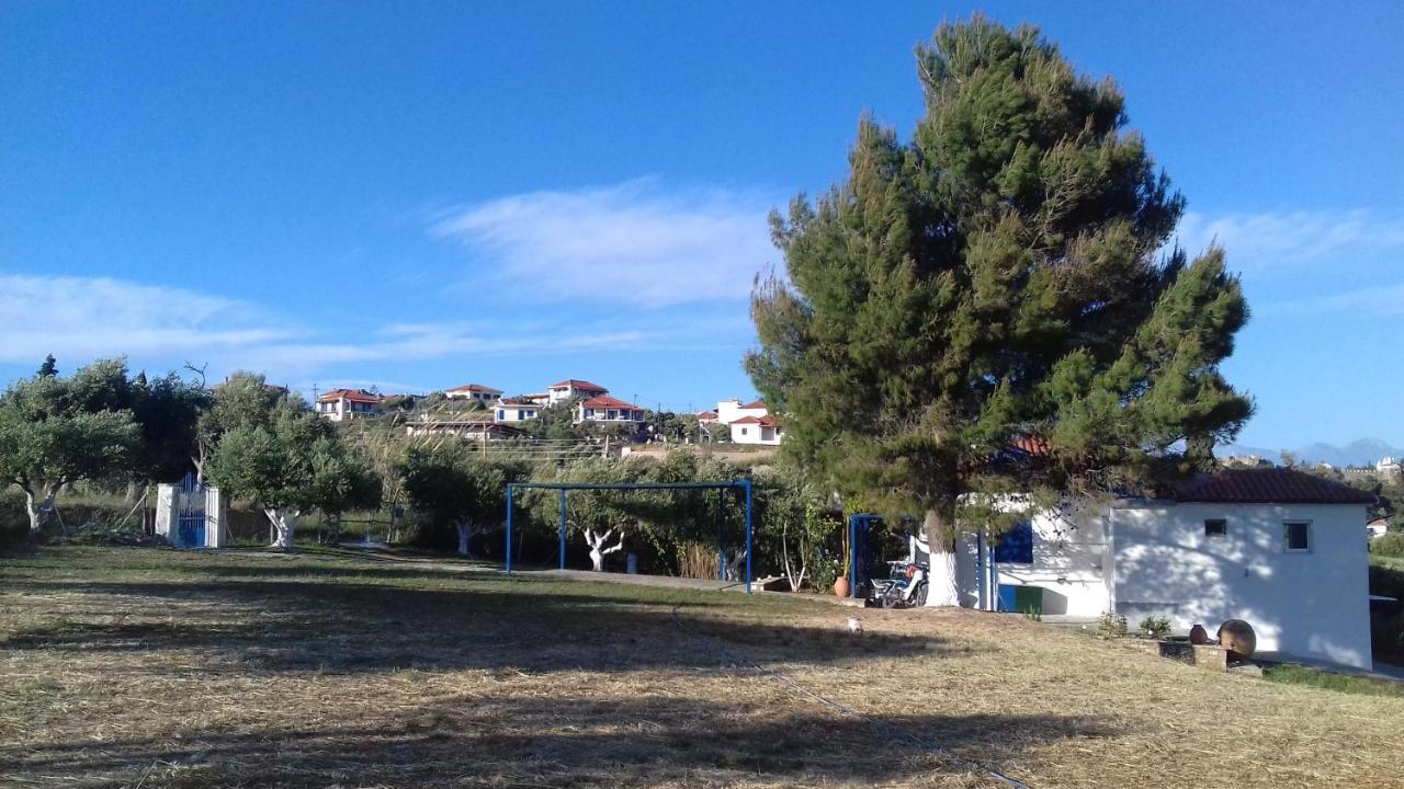Margarita House Holiday home Koroni (Messinia)