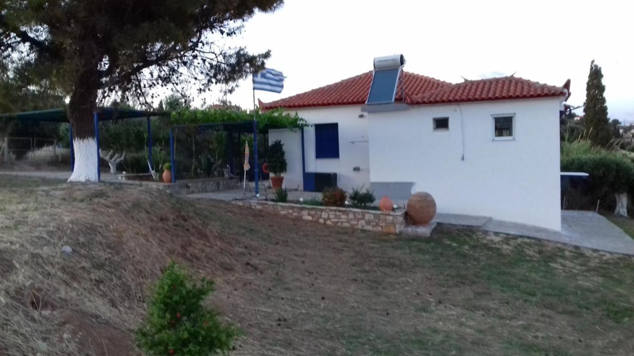 Margarita House *