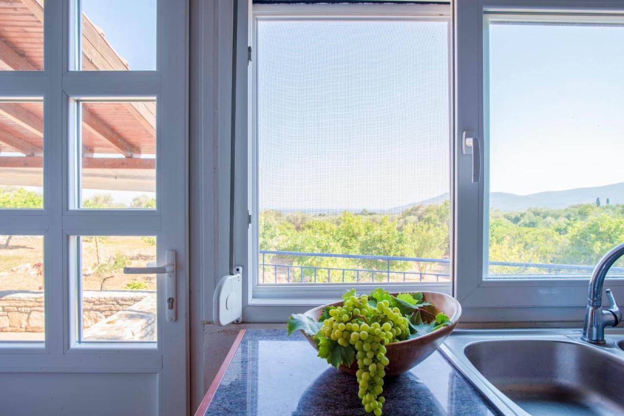 Ether Apartment Chora (Samos)