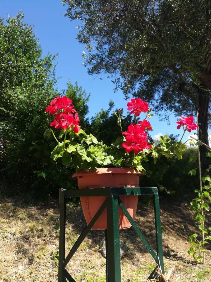Blue & , - Corfu 1&2-3&4 *