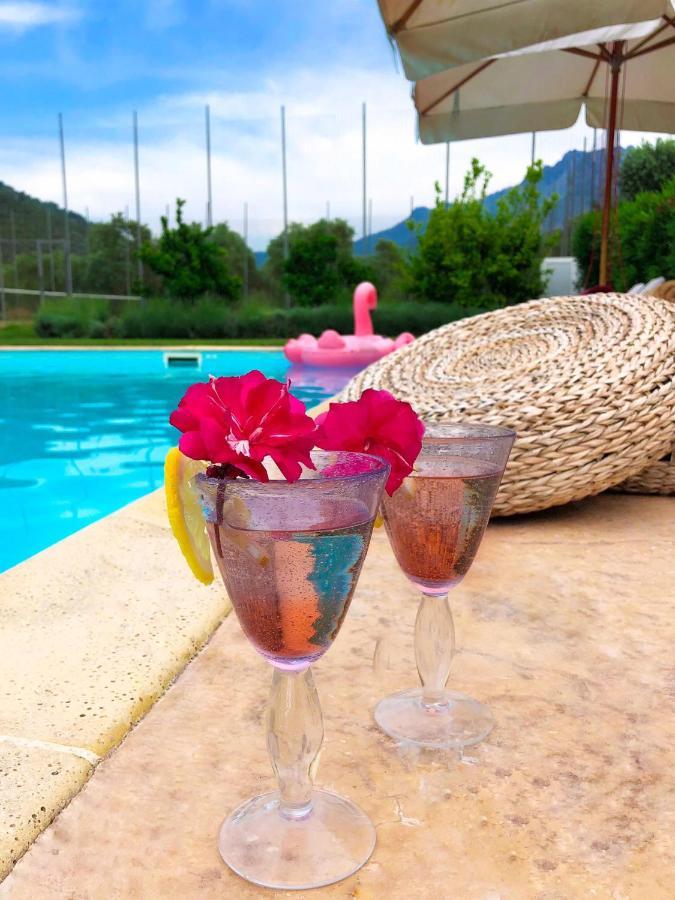 Olive Dream Thassos Luxury * Skala Rachoni (Thasos)