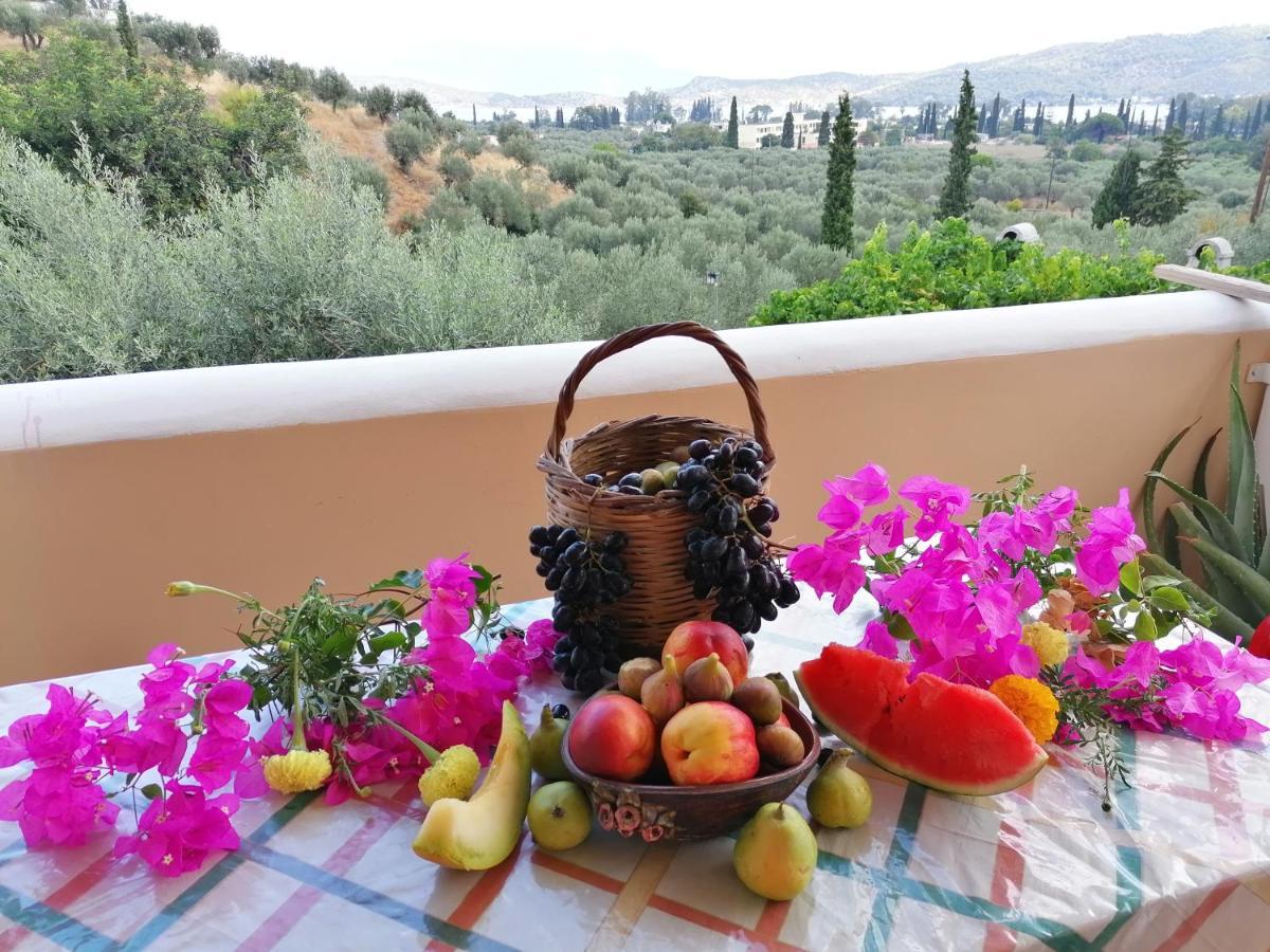 Trizinia View Garden Holiday home Galatas (Poros)