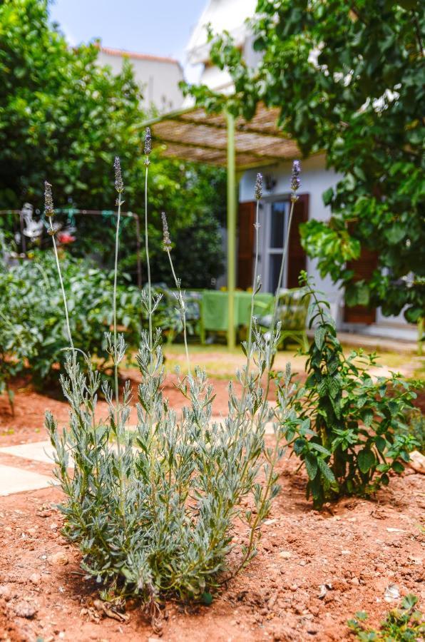 Gaia Apartment Hersonissos (Crete)
