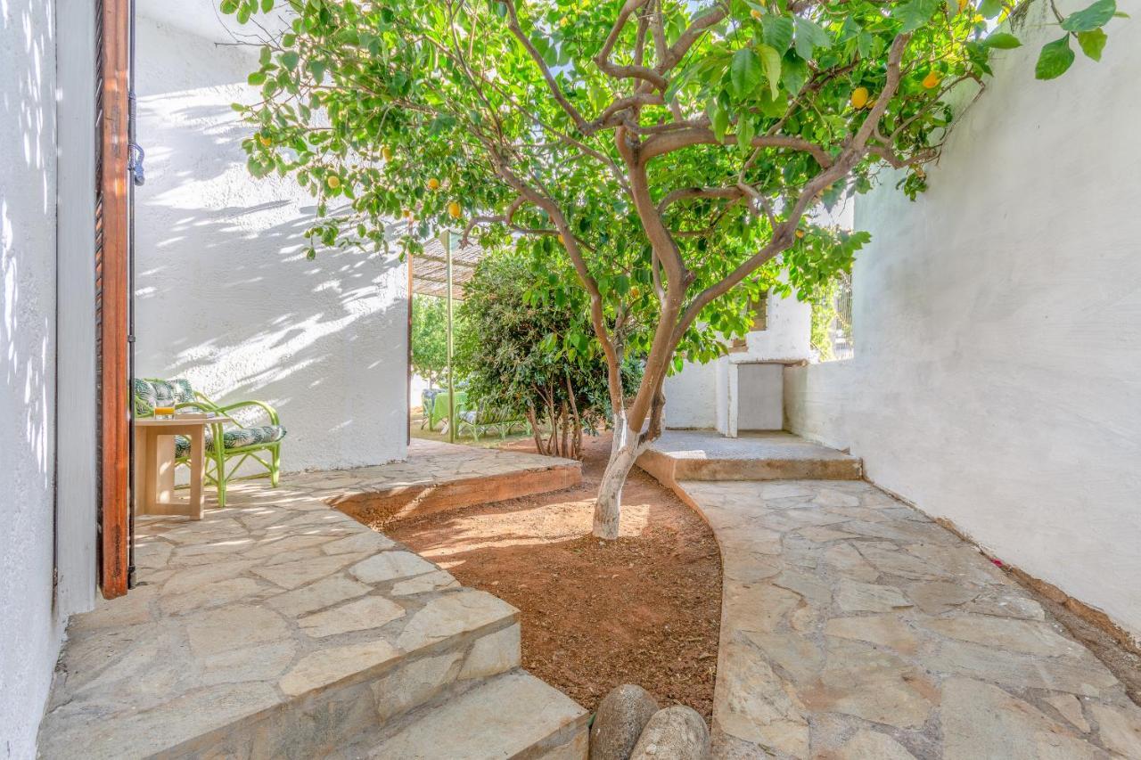 Gaia * Hersonissos (Crete)