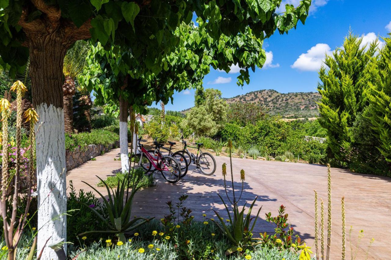 Alonia Villa, Refined Living With 50m2 Private Pool, By Thinkvilla Villa Melidhonion (Rethymno)