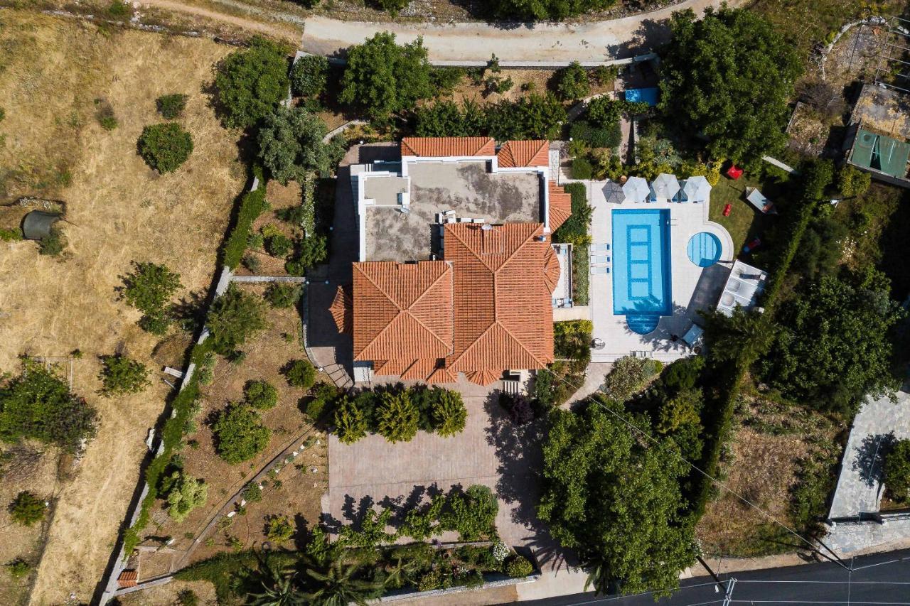 Alonia Villa, Refined Living With 50m2 Private Pool, By Thinkvilla Villa