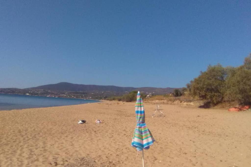 Im Herzen Von Apartment Koroni (Messinia)