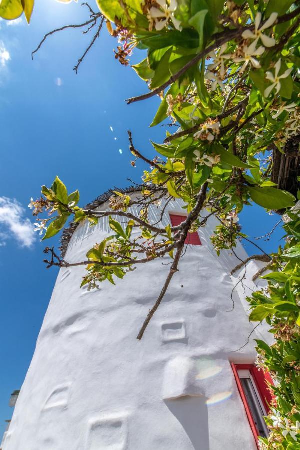 Holiday home Old Windmill In Village