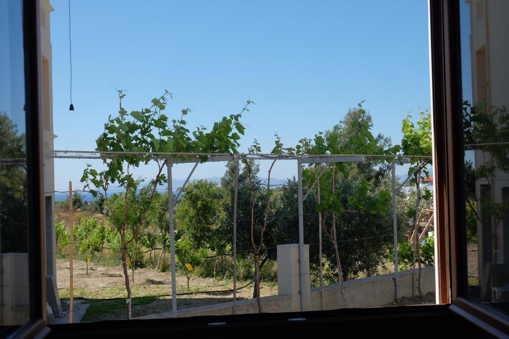 Garden House * Kremasti (Rhodes)