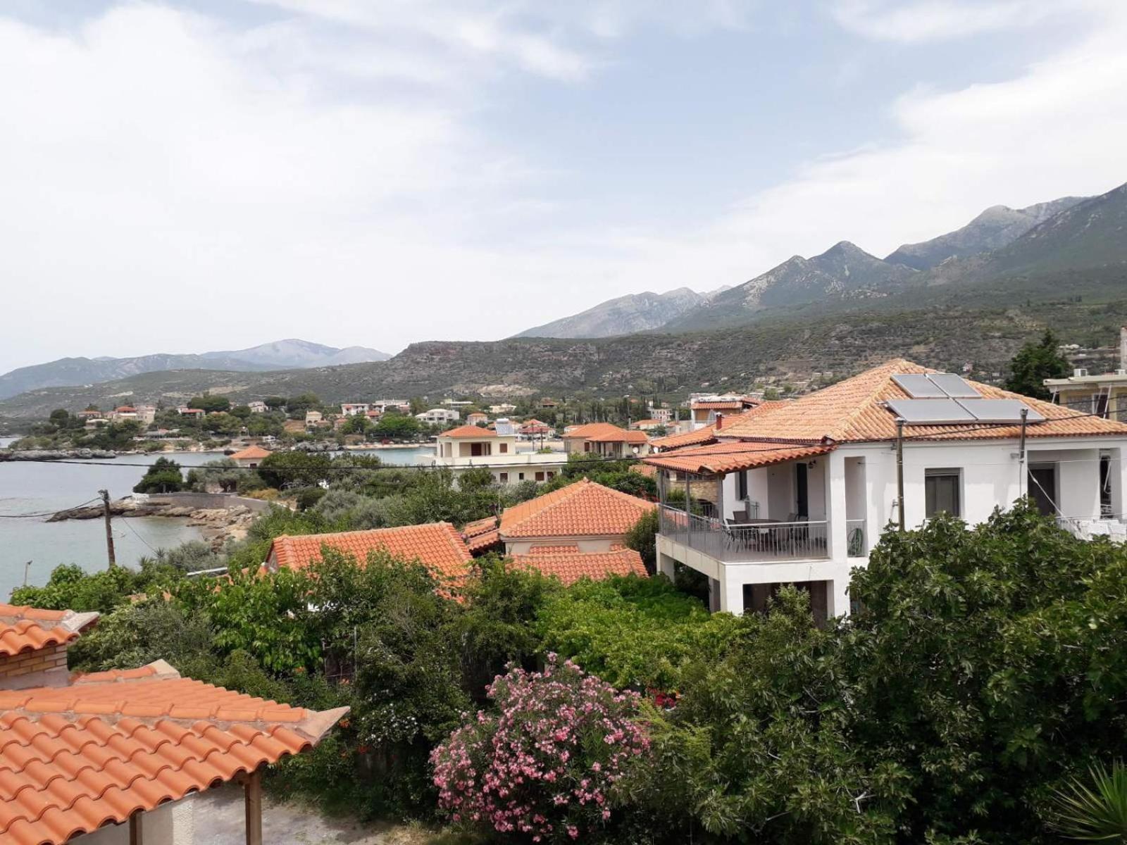 Antonias House
