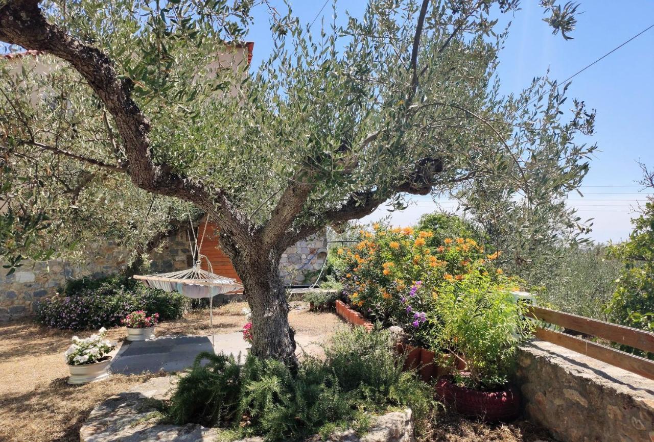 Apartment Beaufort Stoupa