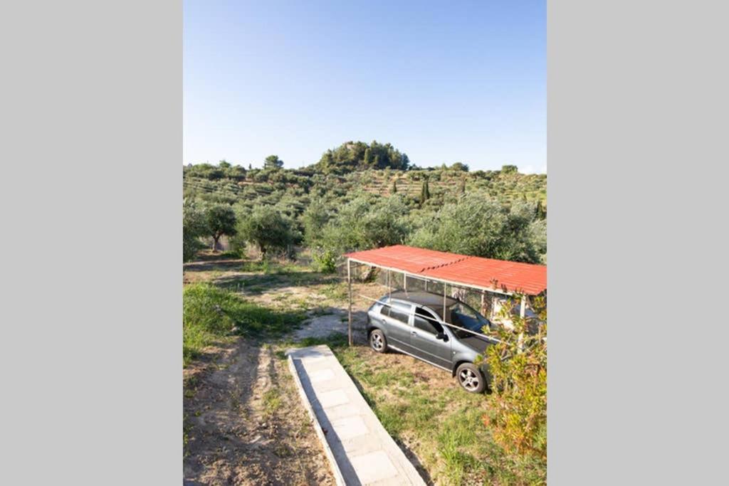 κτήμα παπαβασιλόπουλος 2 - *