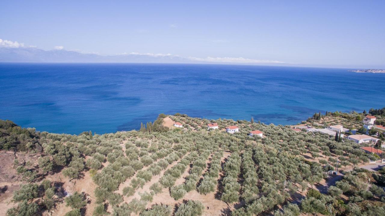 κτήμα παπαβασιλόπουλος 2 -