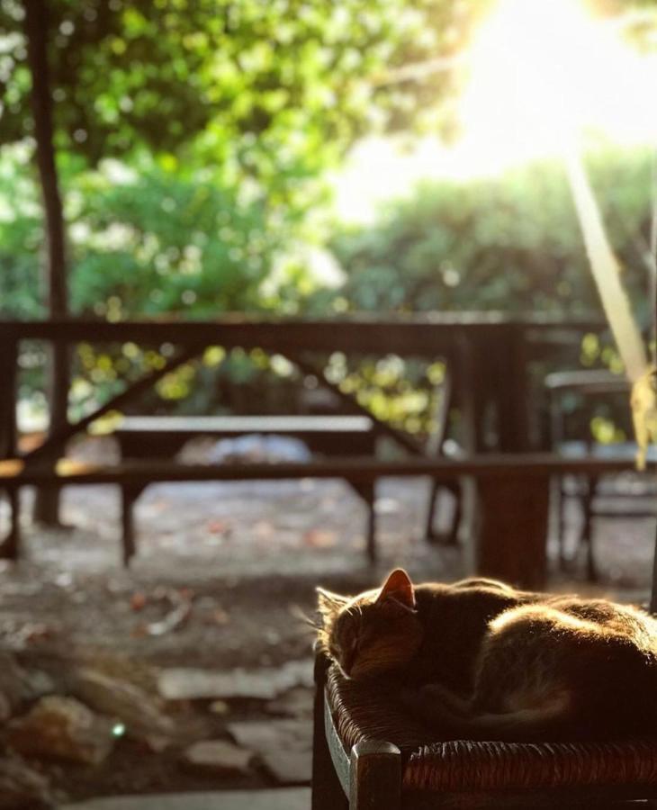 Toumba Eco Farm Guest house *