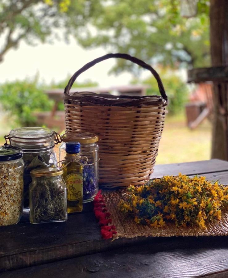 Toumba Eco Farm * Plomari