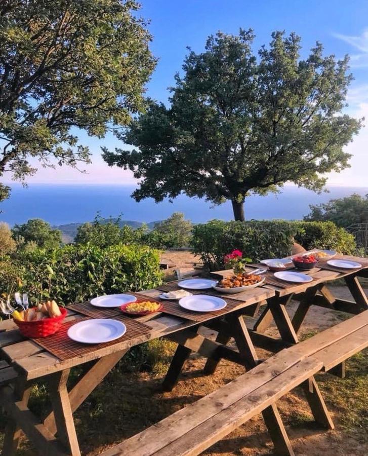 Toumba Eco Farm * Plomari