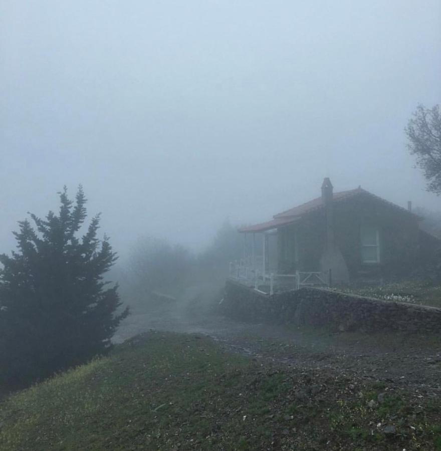 Toumba Eco Farm *