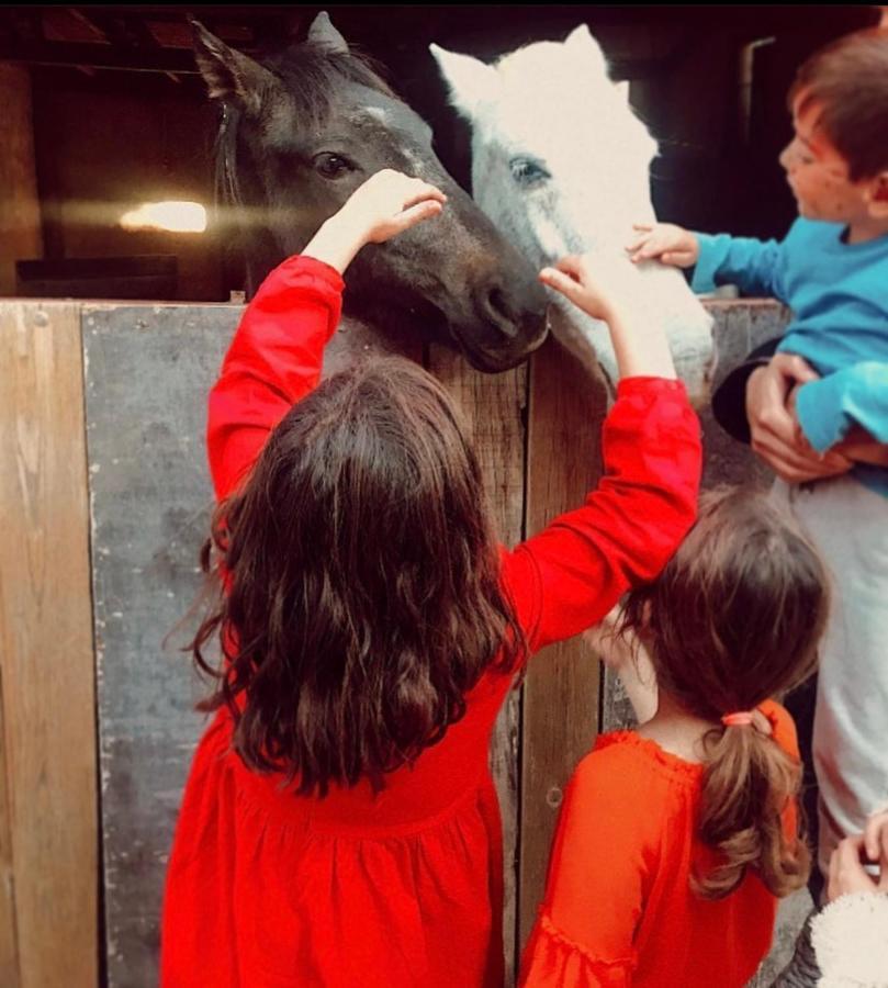 Toumba Eco Farm