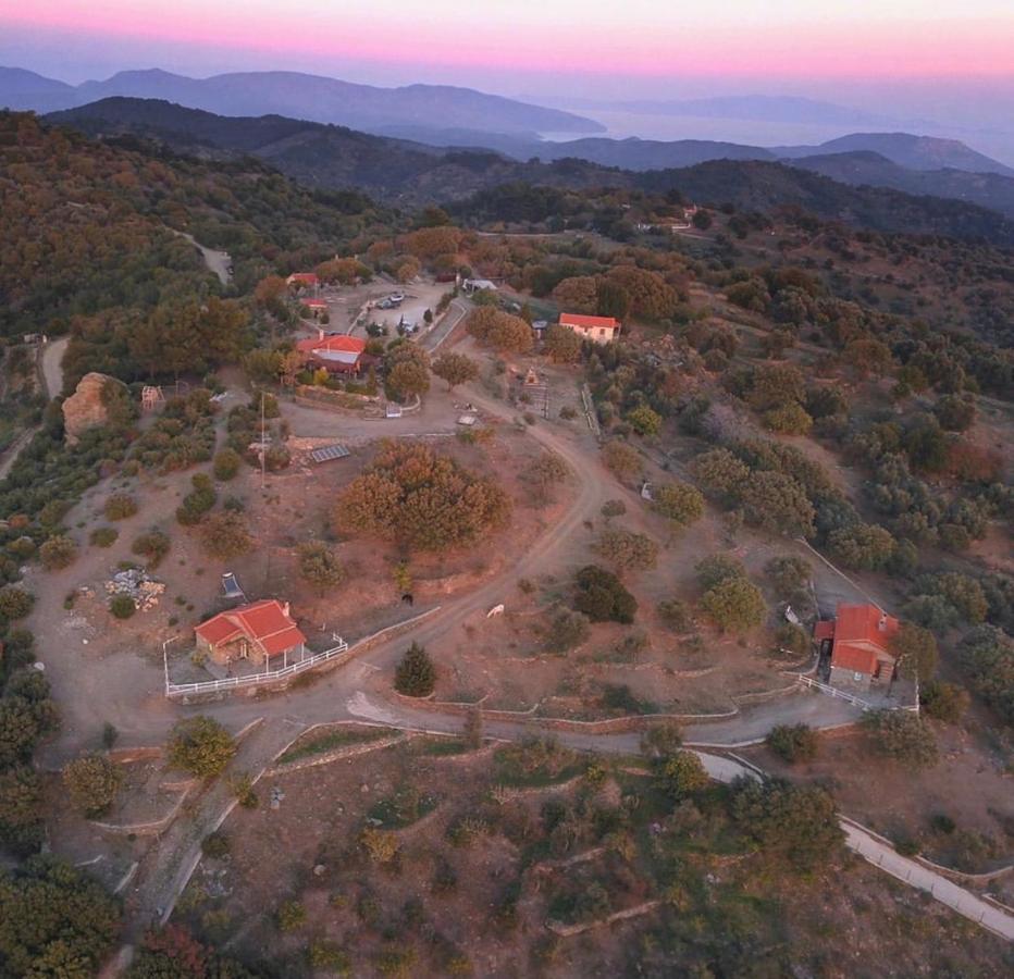 Toumba Eco Farm Guest house *