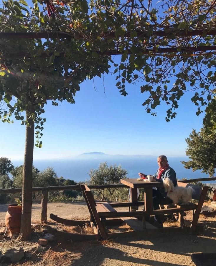 Toumba Eco Farm * Plomari
