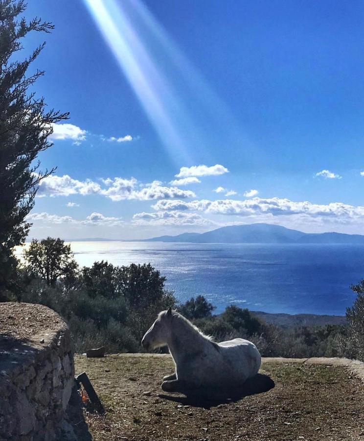 Toumba Eco Farm Plomari