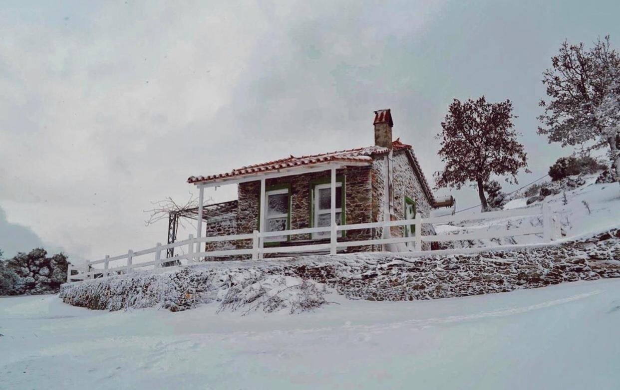 Toumba Eco Farm *