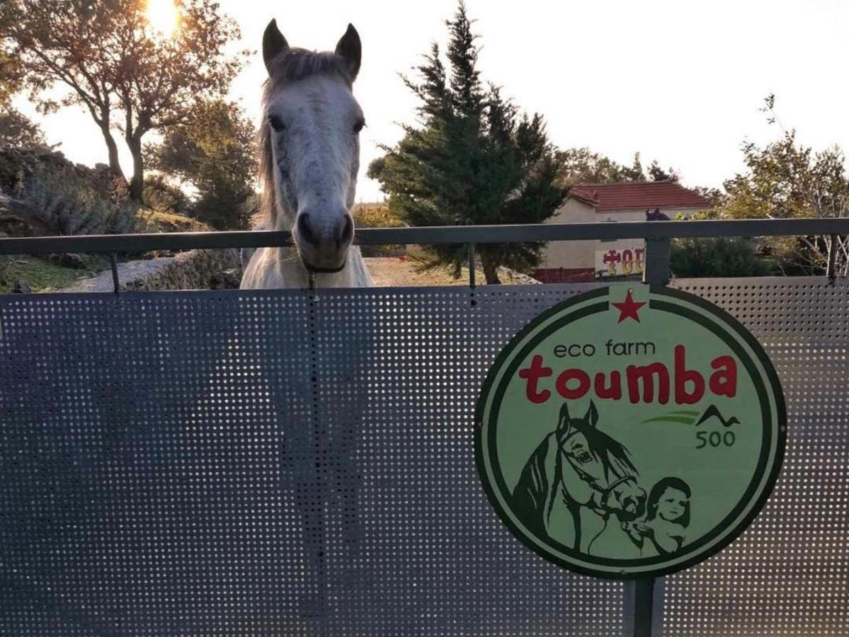 Toumba Eco Farm *