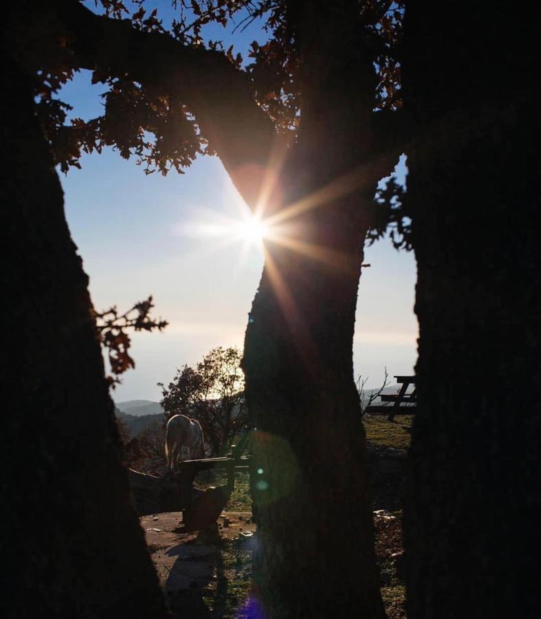 Guest house Toumba Eco Farm Plomari