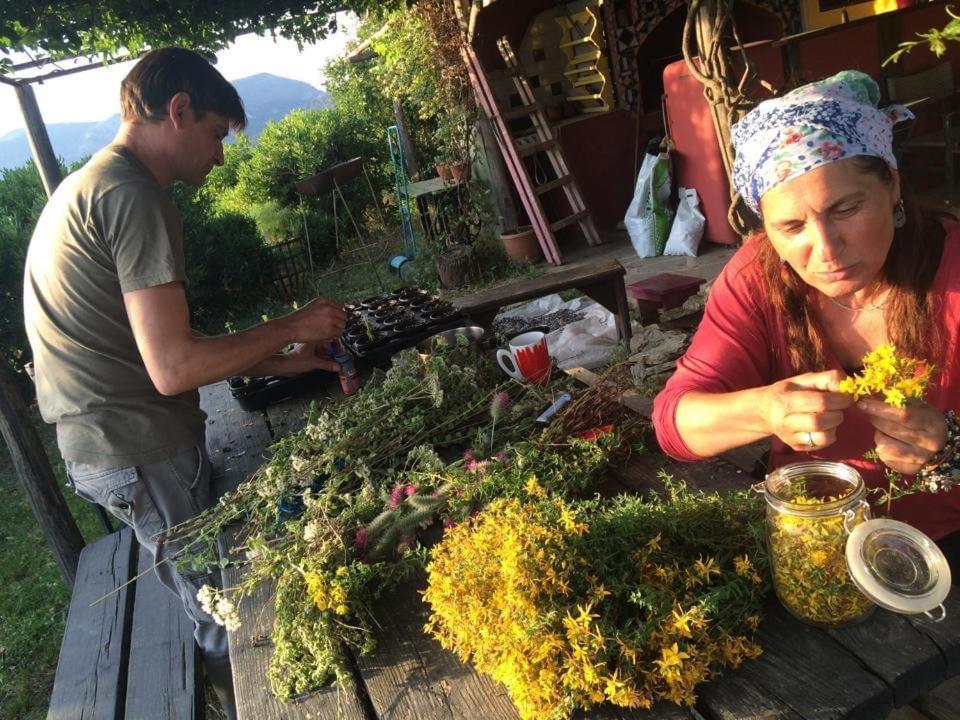 Guest house Toumba Eco Farm Plomari