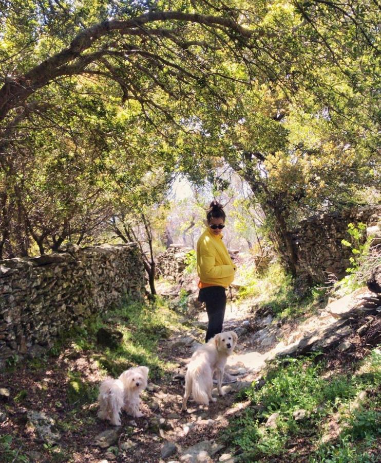 Toumba Eco Farm * Plomari
