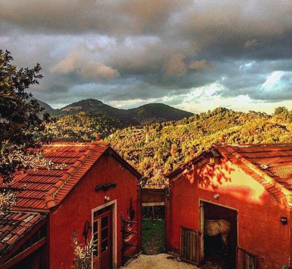 Toumba Eco Farm * Plomari