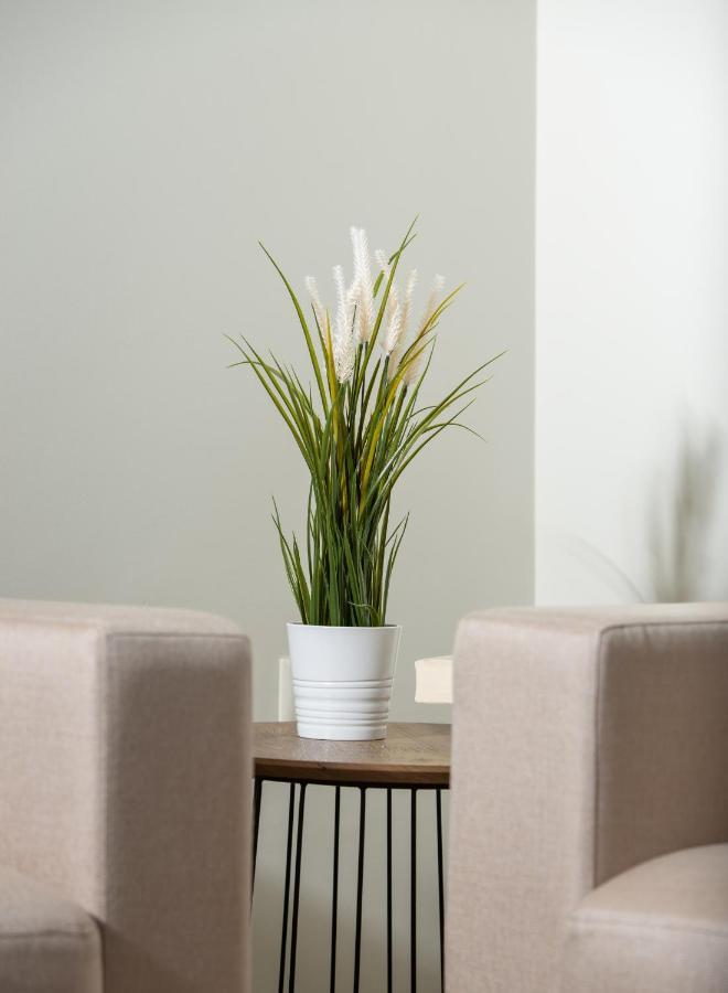 Apartment Olenia Luxury 4 Neos Marmaras