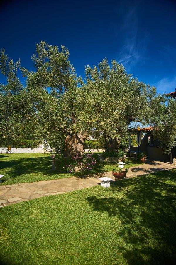 The Cosy Olive Holiday home