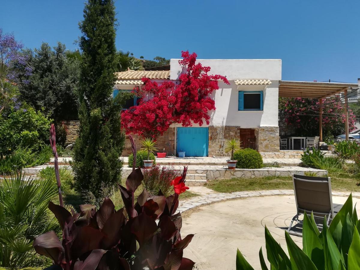 Lemon Tree Finikounta