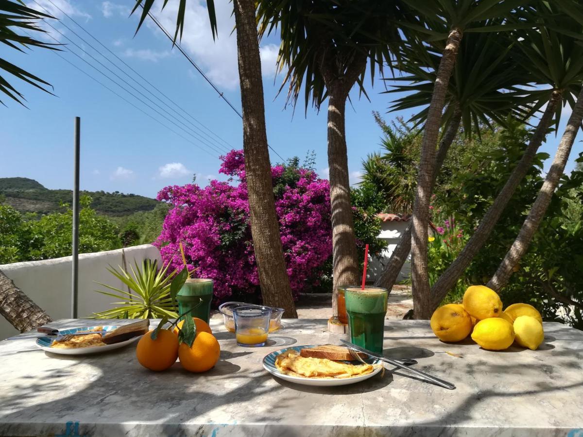 Lemon Tree * Finikounta