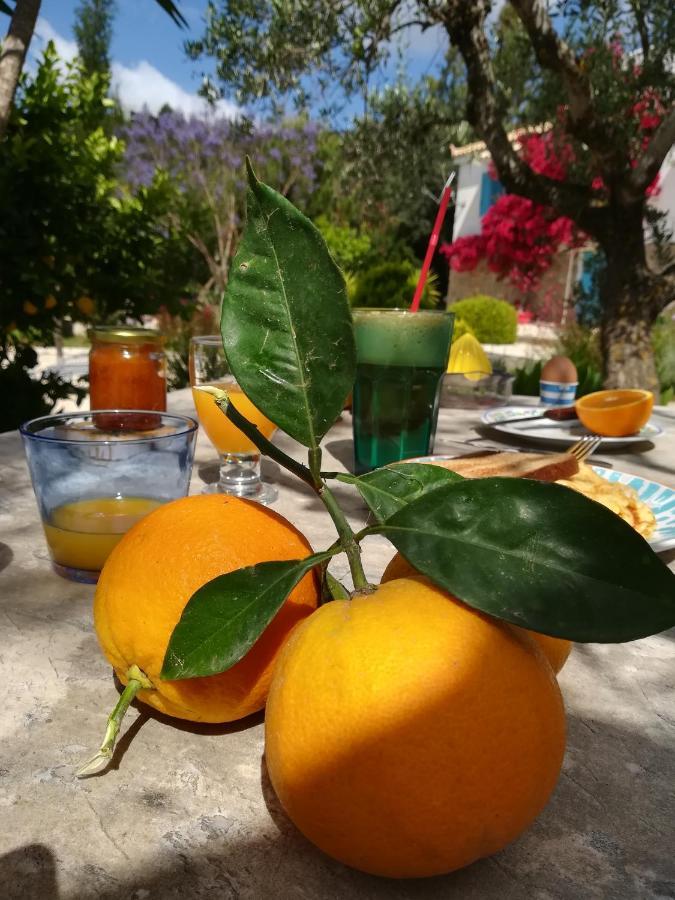 Lemon Tree Finikounta