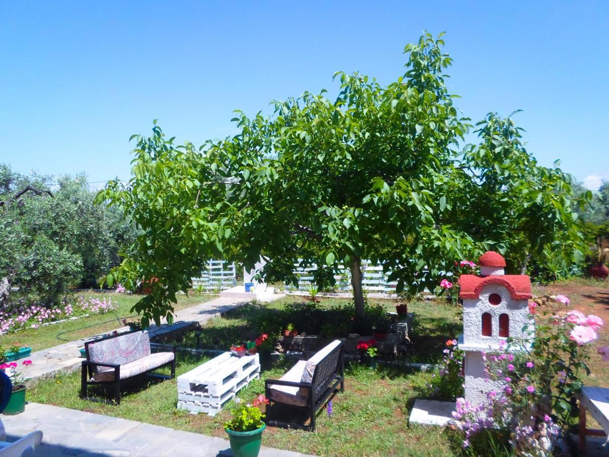 Apartment Ktima Aphroditi
