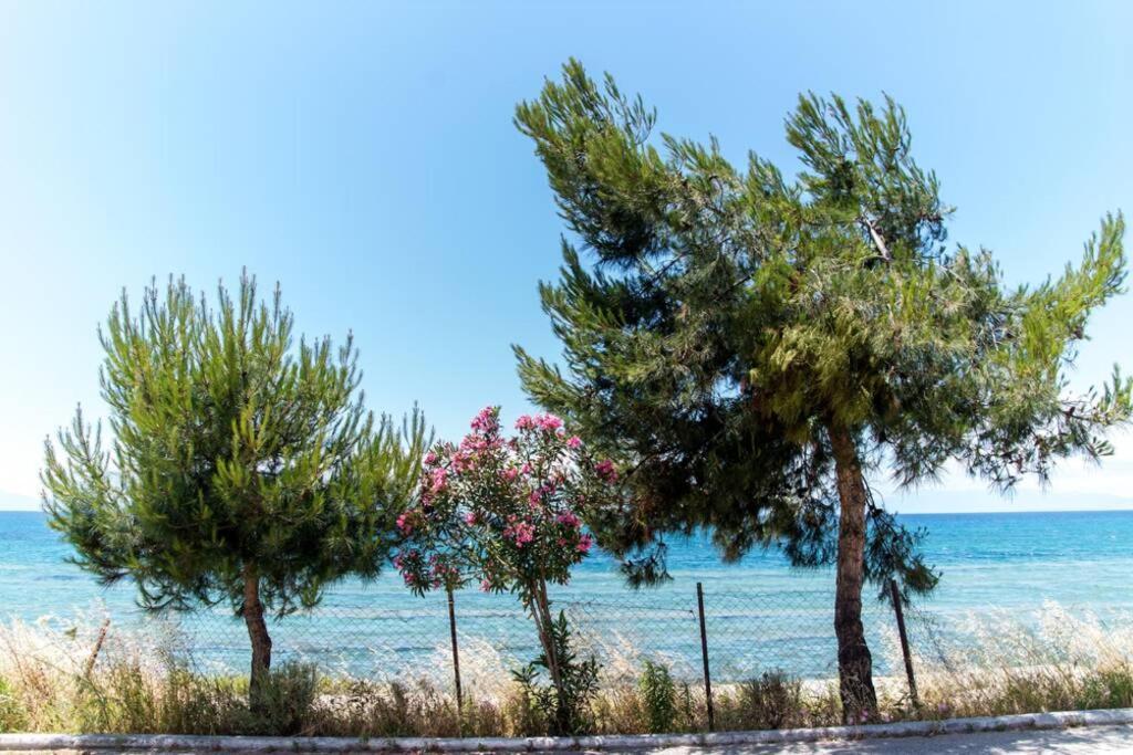 Seafront 2 Bedrooms * Nea Iraklia
