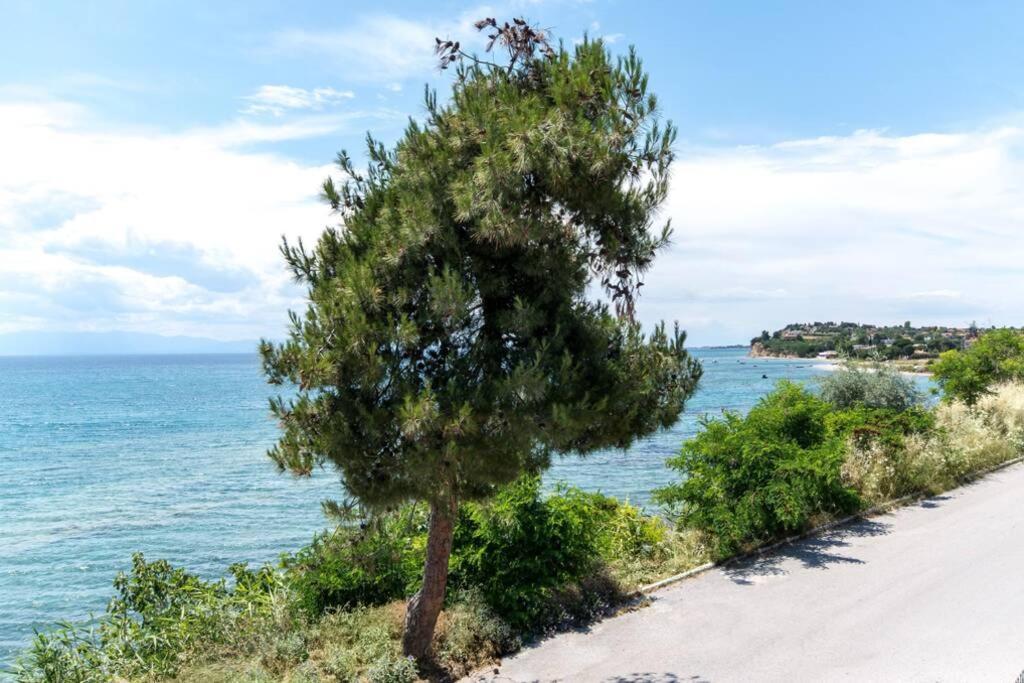 Seafront 2 Bedrooms *