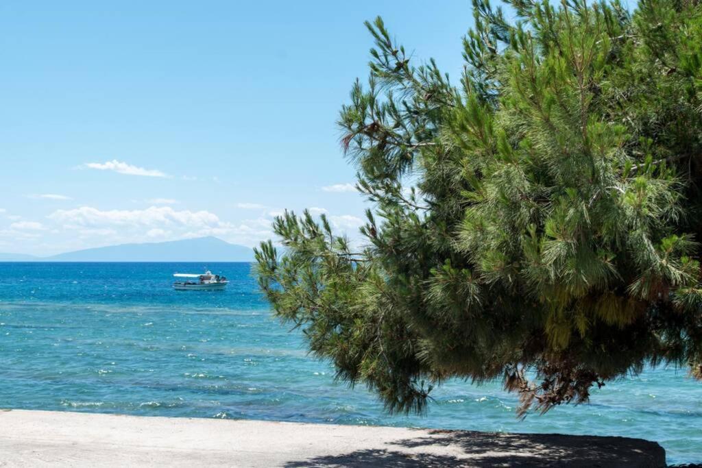 Seafront 2 Bedrooms Apartment *