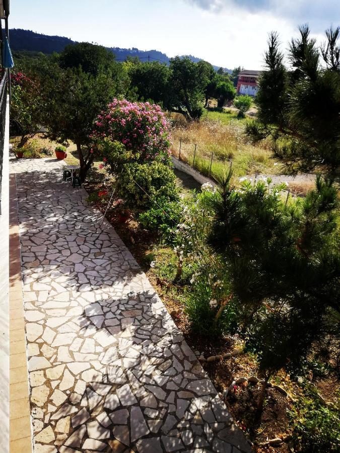 Apartment Anestis *